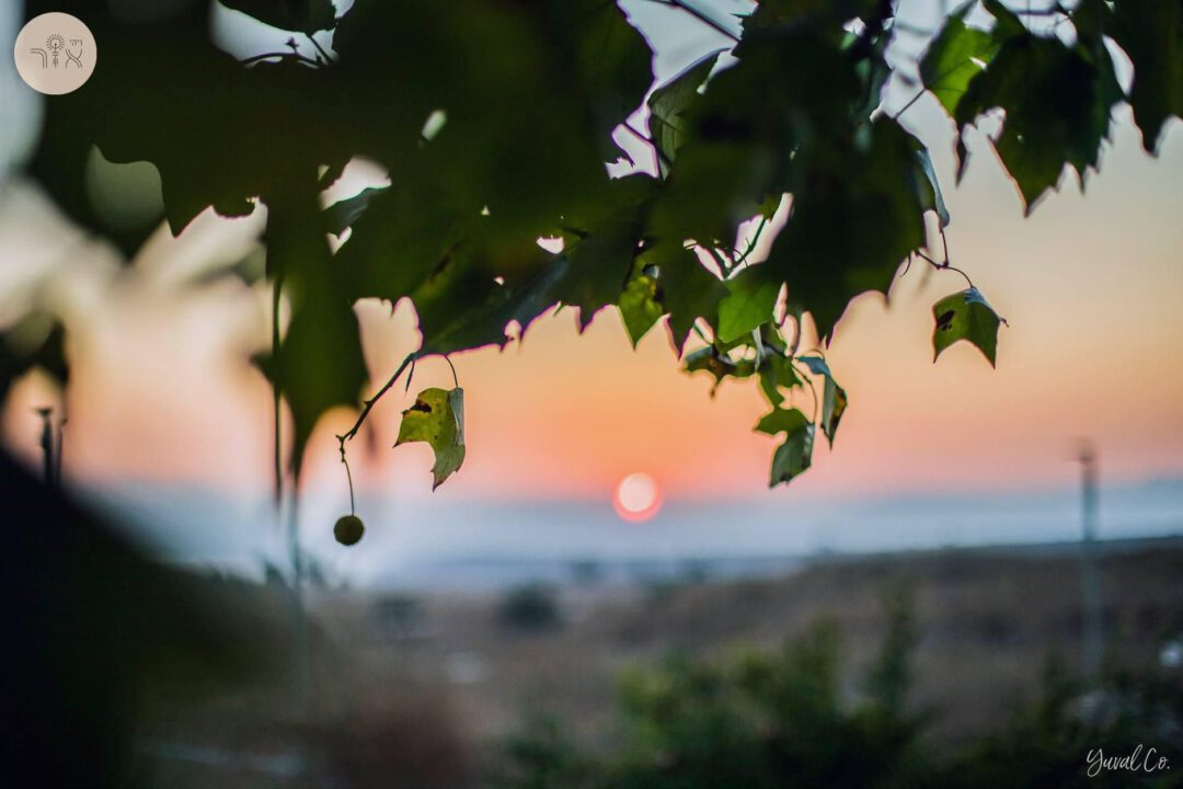 Sunset over the Golan from the farm