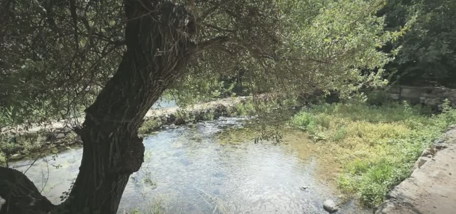 צילום חובבני של נחל בגולן